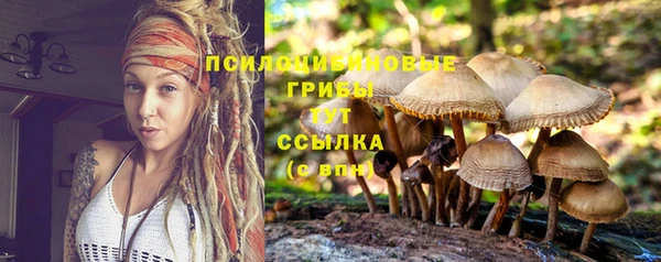 твердый Корсаков