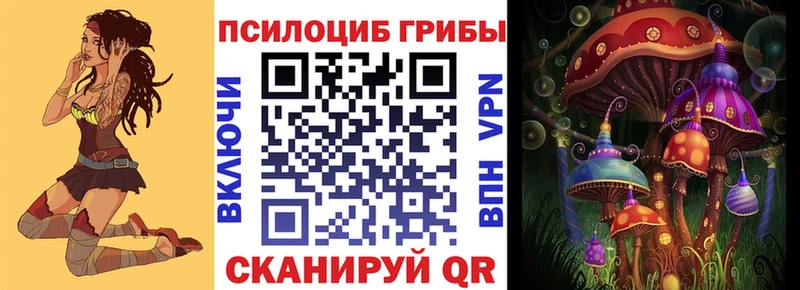 Купить закладки  Трубчевск  Галлюциногенные грибы мухоморы 