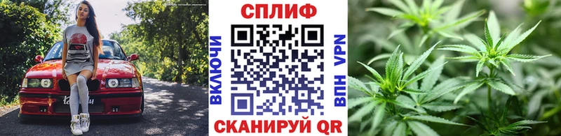 Конопля THC 21% Купить где Трубчевск